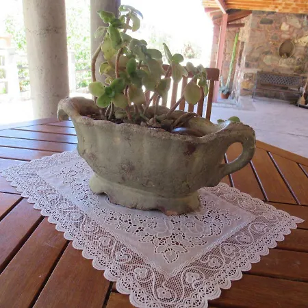 Casa Rural Del Pino Nyaraló